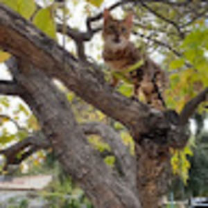 Meet your Posher, Bartholomew